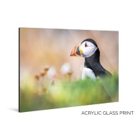 Big Irish Wall Art for Home