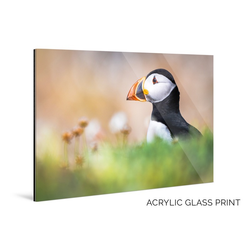 Big Irish Wall Art for Home