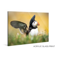 Large Irish Wall Art